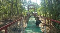 IMG-20260517-WA0057